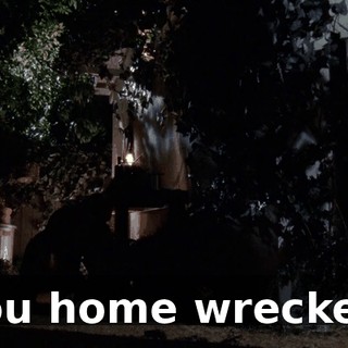 You home wrecker!