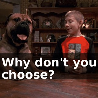 Why don't you choose?