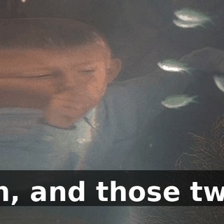 Oh, and those two.
