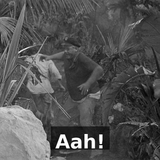 03e57902-ca71-4d52-aeb0-8af969dc5f47.gif