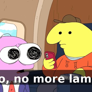 No, no more lamb.