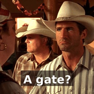 A gate?