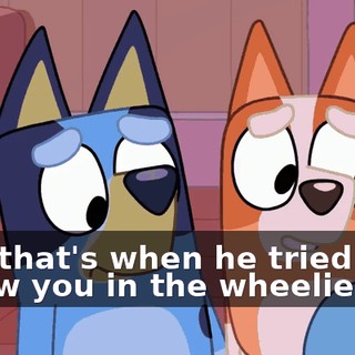 And that's when he tried to throw you in the wheelie bin?