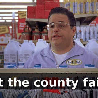 at the county fair,