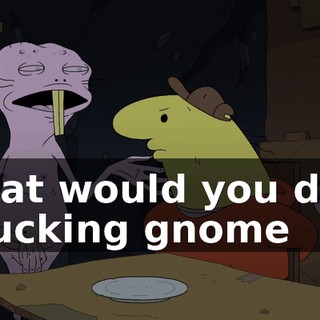What would you do if a fucking gnome