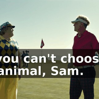 05747344-4d2d-45a5-bd73-08d0fd2289bb.gif