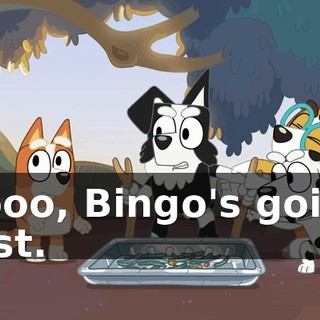 Nooo, Bingo's going first.
