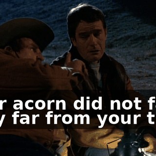 Your acorn did not fall very far from your tree.