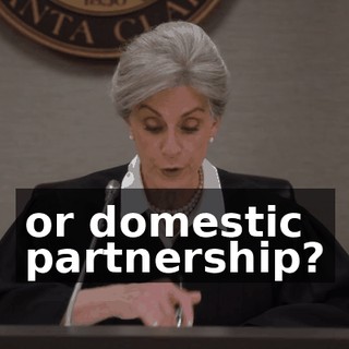 or domestic partnership?