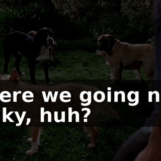 Where we going now, Lucky, huh?