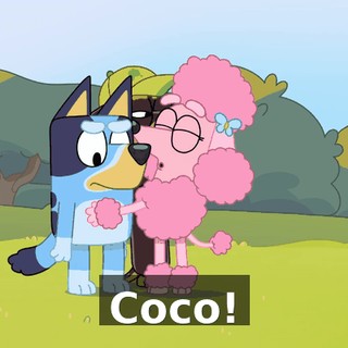 Coco!