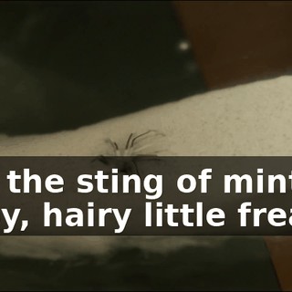 05b9a94a-05d7-4368-ac9f-be1ec501247f.gif