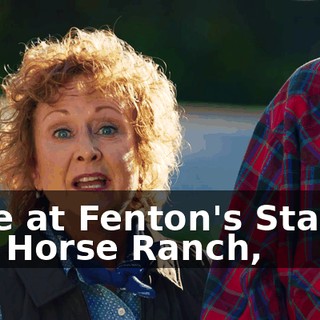 Here at Fenton's Stables and Horse Ranch,