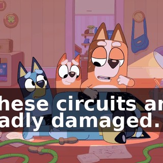 These circuits are badly damaged.