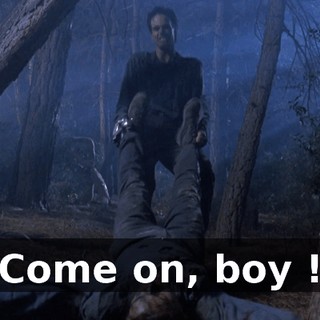 Come on, boy !