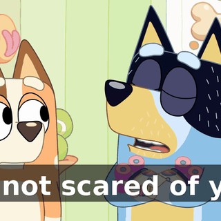 I'm not scared of you!