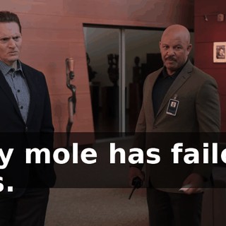 My mole has failed us.