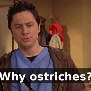 0610fe4a-cbad-4294-8cd0-1b6821729795.gif