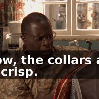 Wow, the collars are so crisp.