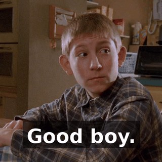 Good boy.