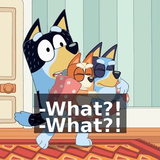 -What?! -What?!