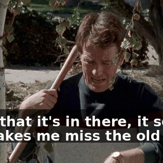 Now that it's in there, it sort of makes me miss the old tree.
