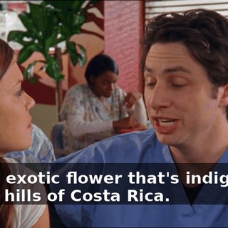 06d49a36-212e-4068-ae99-f5b184cca8cd.gif