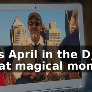 It's April in the D, that magical month