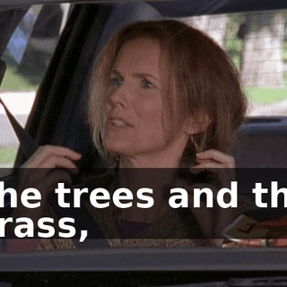 The trees and the grass,