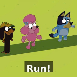 Run!