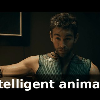07bcc1a5-2147-401d-a7e6-4b176d46dd0b.gif