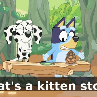 What's a kitten store?