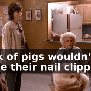 Pack of pigs wouldn't leave their nail clippings