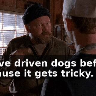 You've driven dogs before? Because it gets tricky.