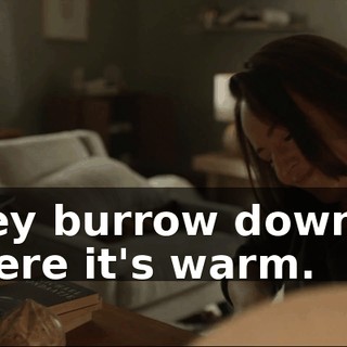 They burrow down to where it's warm.
