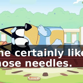 She certainly likes those needles.