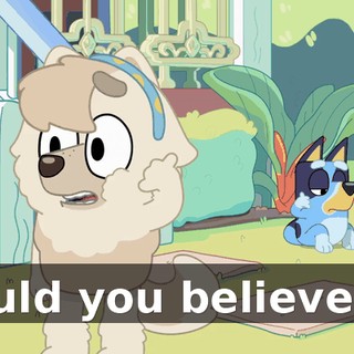 Could you believe it?