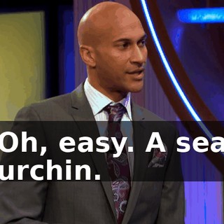 090a9f2e-d5bd-48ff-8d46-9a48f8e90114.gif