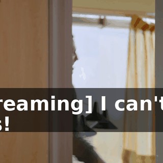 [screaming] I can't do this!