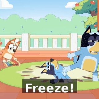 Freeze!