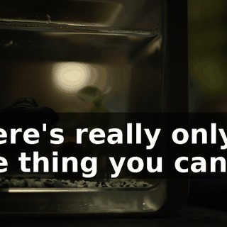 09743e2f-bfcd-4ed5-bdcb-541fb84f3b9b.gif