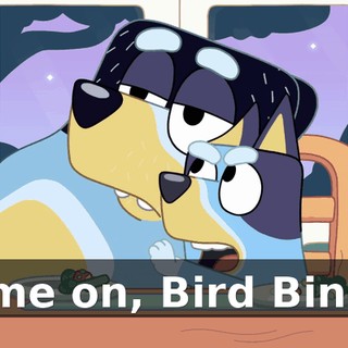 Come on, Bird Bingo!