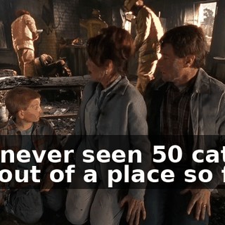 I've never seen 50 cats run out of a place so fast.