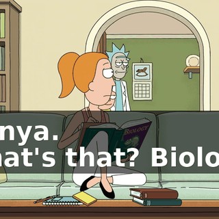 0a00ab86-2785-47b6-8d33-5073318dc997.gif