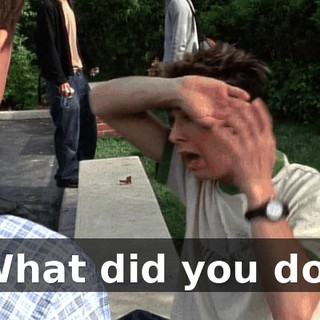 What did you do?