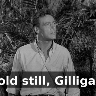0a78c7c0-e5ea-400b-bc9e-345f8f98f31c.gif