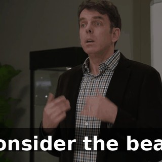 "consider the bear."