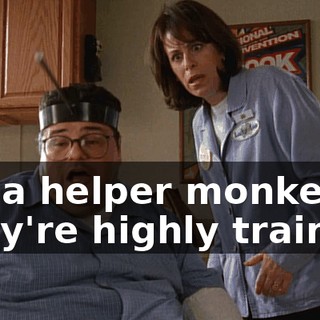 It's a helper monkey. They're highly trained,
