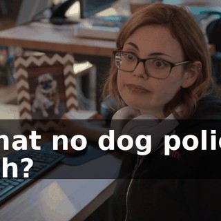 What no dog policy, huh?
