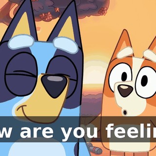 How are you feeling?